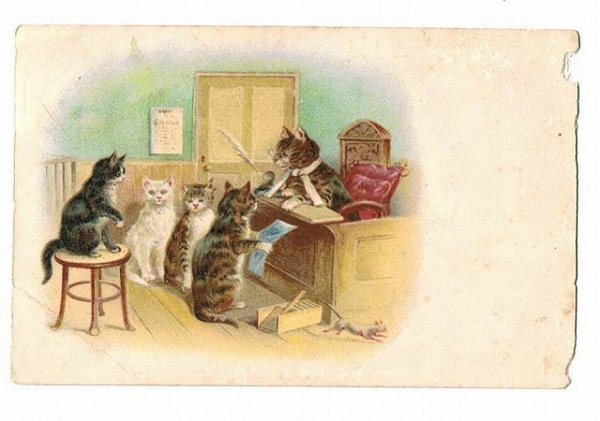 画像1: 猫の学校　 (1)