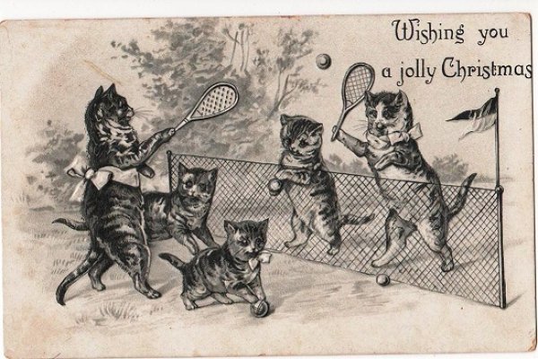 画像1: テニスをする猫 (1)