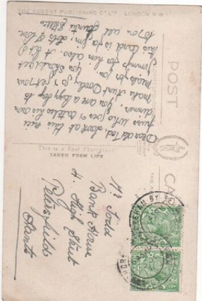 画像2: 魚釣りをする猫たち (2)