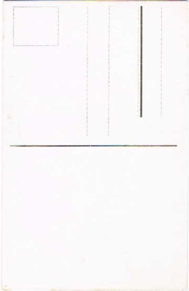 画像2: 猫と犬の結婚式 (2)