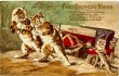 画像1: 車を引き揚げる猫　N.Parker (1)