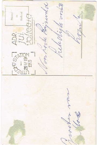 画像2: 猫のキノコ狩り (2)