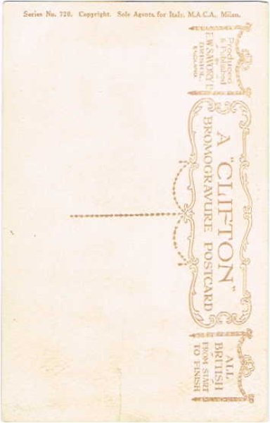 画像2: 車を引き揚げる猫 N.Parker (2)