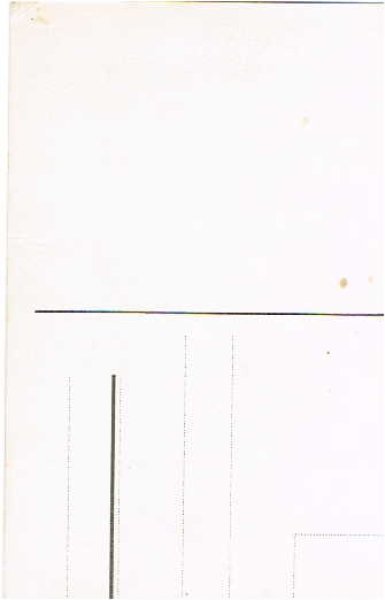 画像2: トランプをする猫と犬 (2)