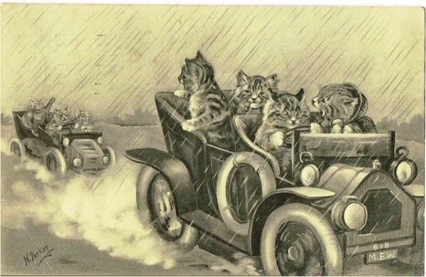 画像1: 猫　雨の日のカーレース　N.Parker (1)