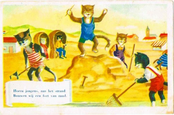 画像1: 海辺で遊ぶ猫 (1)
