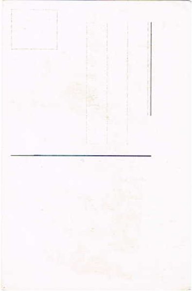 画像2: ソリ遊びの猫 (2)