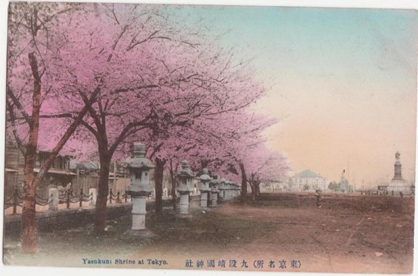 画像1: 手彩色絵葉書　東京　九段靖国神社の桜 (1)