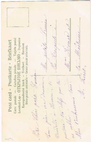 画像2: 薔薇のお花 (2)