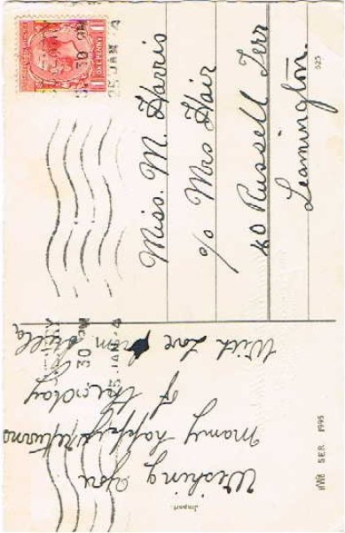 画像2: スミレのお花 (2)