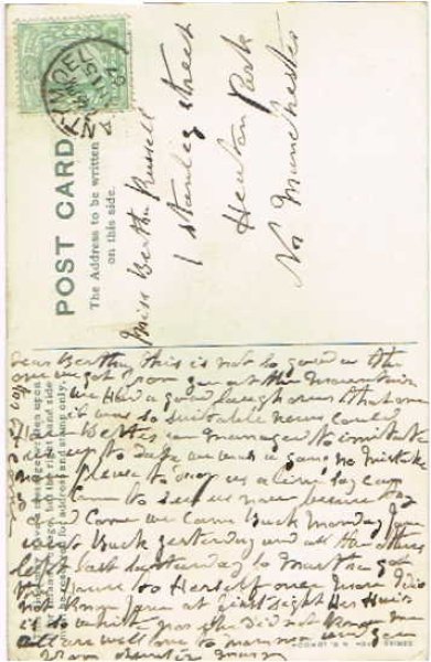 画像2: スミレのお花 (2)