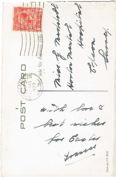 画像2: スミレのお花 (2)