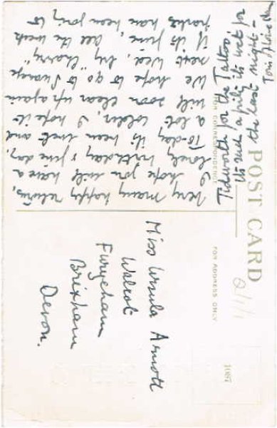 画像2: スミレのお花 (2)