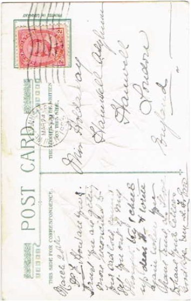 画像2: デイジーと白百合のお花 (2)