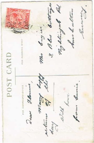 画像2: デイジーのお花 (2)