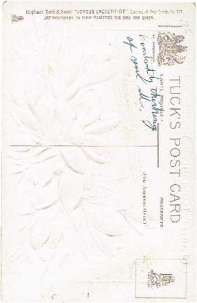 画像2: クロッカスのお花 (2)