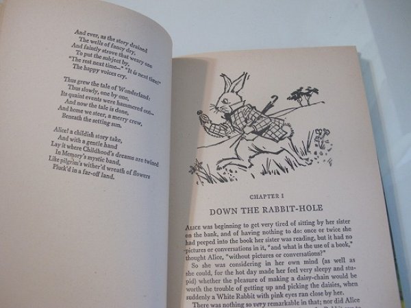 画像3: アンティーク・ヴィンテージ本・洋書★不思議の国のアリス (3)