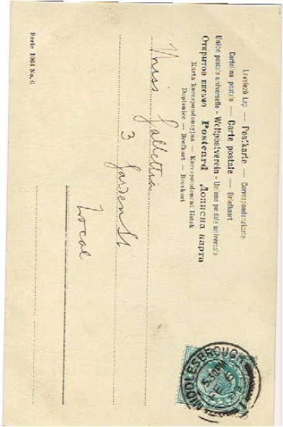 画像2: 赤ちゃんと猫 (2)