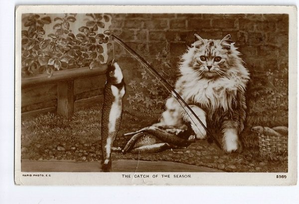 画像1: 魚釣りをする猫 (1)