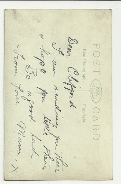 画像2: 子猫と子犬 (2)