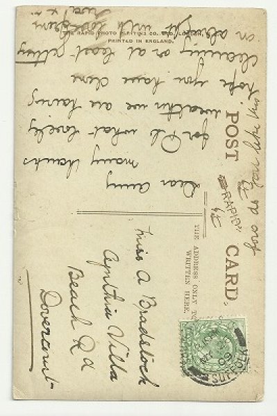 画像2: 魚釣りをする猫 (2)