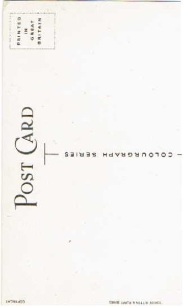 画像2: 帽子を試着する猫 （未使用） (2)