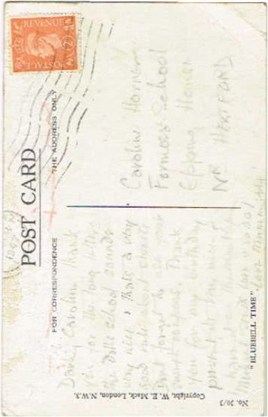 画像2: ブルーベルのお花を摘む猫たち  Dorren Parr (2)