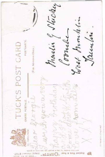 画像2: ミルクを飲む子猫と子犬 (2)