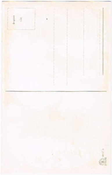 画像2: 猫の紳士からネズミさんへのプレゼント Monique Martin (2)