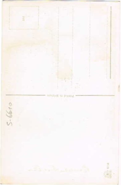 画像2: ご挨拶をする猫 (未使用) (2)