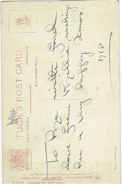 画像2: ミツバチと子猫 (2)