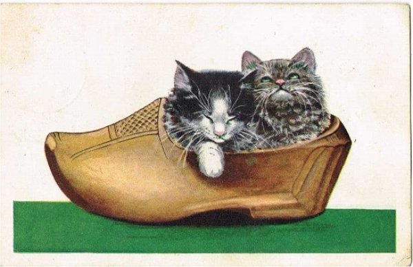 画像1: 木靴の中の子猫 (1)