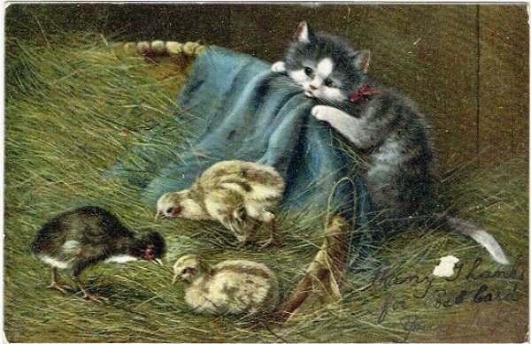 画像1: 猫と鳥の親子 (1)