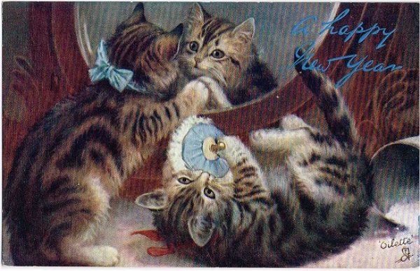 画像1: 化粧台で遊ぶ子猫 （未使用） (1)