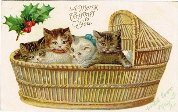 画像1: クリスマス　ベビーベットの子猫 (1)