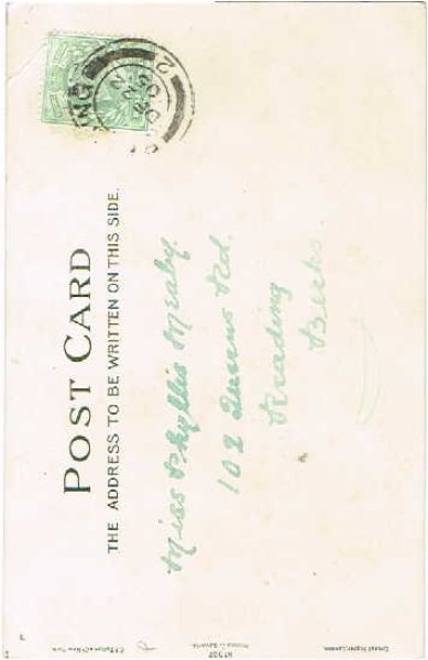 画像2: クリスマス ベビーベットの子猫 (2)