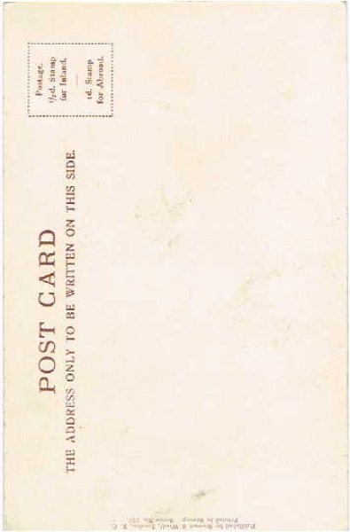 画像2: 本と子猫 (未使用) (2)