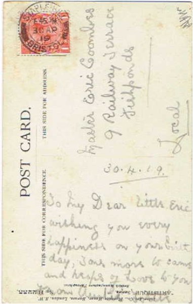 画像2: 猫と犬 (2)