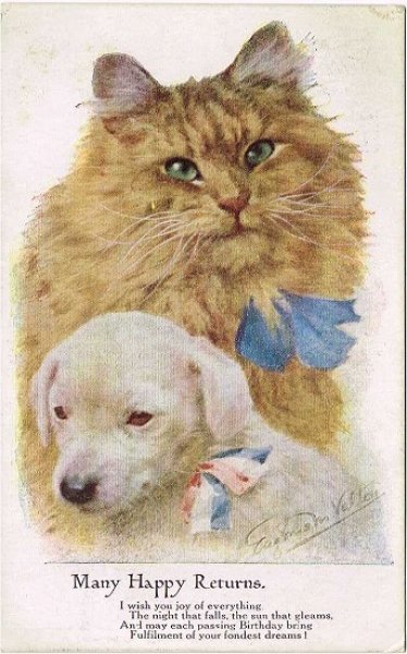 画像1: 猫と犬 (1)