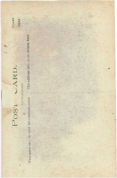 画像2: 肖像写真　乳母車のお人形とテディベアと子どもたち (2)