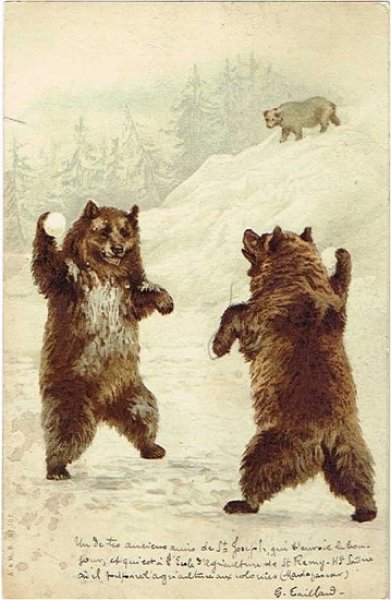 画像1: 雪合戦をする熊　 Helena Maguire？ (1)