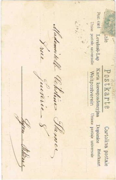 画像2: 乾杯をする熊  Helena Maguire? (2)