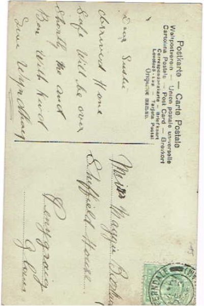 画像2: 猫と女の子 (2)