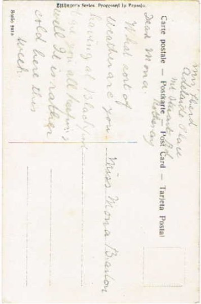 画像2: 犬を洗う女の子 (2)