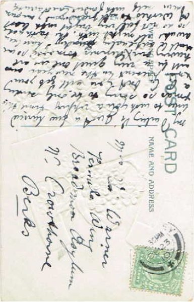 画像2: 忘れな草のお花と金の馬蹄 (2)