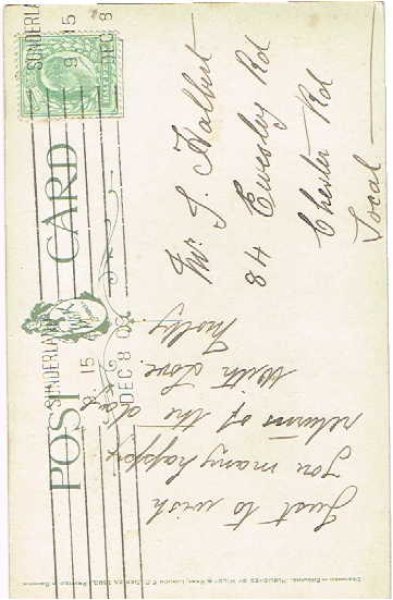 画像2: お花と川辺の風景 (2)