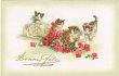 画像1: 薔薇のお花と子猫　W.Fialkowska (1)