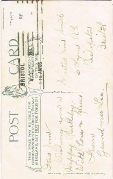 画像2: 猫とドラム  Helena Maguire (2)