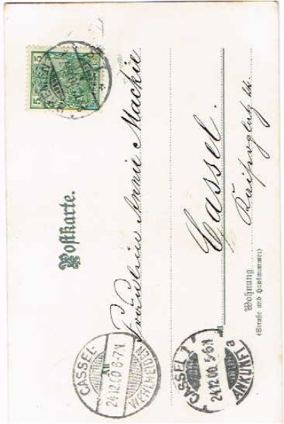 画像2: 2匹の子猫  Helena Maguire (2)