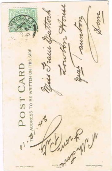 画像2: クリスマスの猫  Helena Maguire (2)